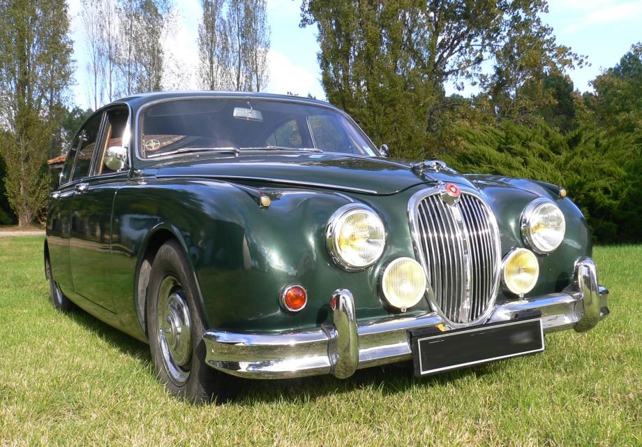 Comment On Dit Jaguar En Anglais