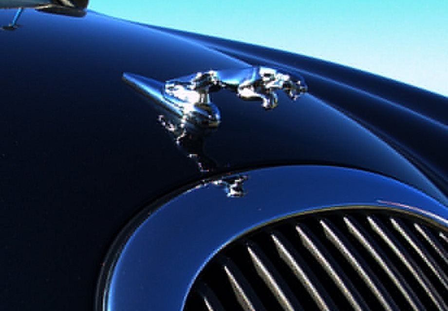 Comment On Dit Jaguar En Anglais Location Jaguar s-type 2001 Vert anglais 2001 vert anglais Vieillevigne