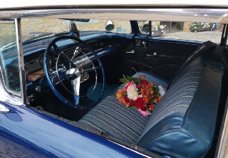 Buick Série spéciale  1955 Bleu pétrole 