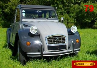 Citroen 2CV Charleston 1984 Gris 2 tons