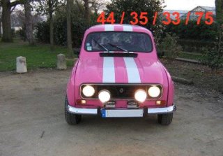 RENAULT 4L 1981 rose
