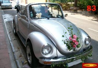 Volkswagen Coccinelle cabriolet 1974 gris