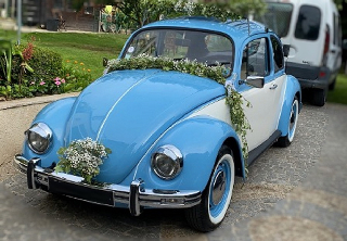 Volkswagen Coccinelle  1984 Bleu et blanc 