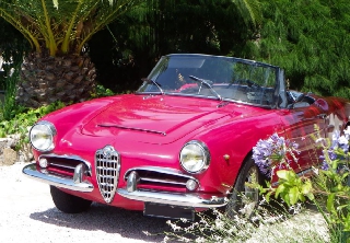 Alfa Roméo Spider 1600 1964 Rouge