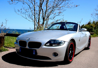 Bmw Z4 E85 2008 Gris Titan