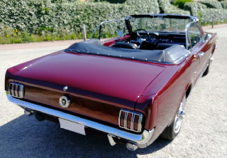 Location Ford MUSTANG 1964 BORDEAUX NACRE