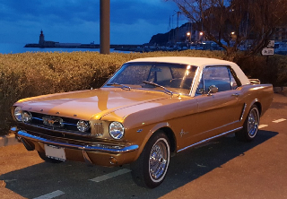 Location Ford MUSTANG  1964 Bronze 