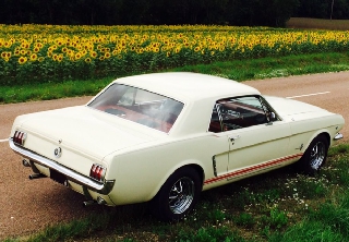 Location Ford Mustang 1965 blanc ivoire