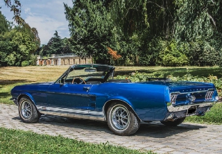 Location Ford Mustang 1965 Bleu