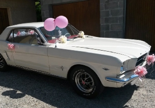 Location Ford Mustang  1965 créme