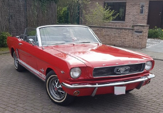 Location Ford Mustang  1965 Rouge
