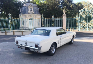 Location Ford Mustang 1966 blanc