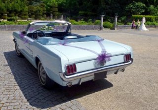 Location Ford Mustang 1966 Bleu Ciel