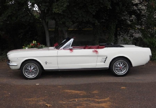 Location Ford Mustang 1966 Blanche