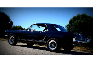 Location Ford Mustang  1966 Noire 