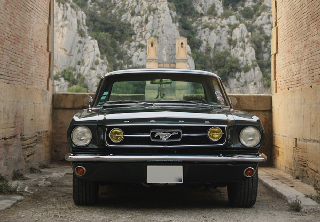Ford Mustang  1966 Vert