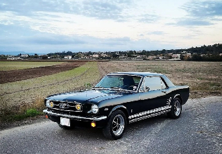 Ford Mustang  1966 Vert