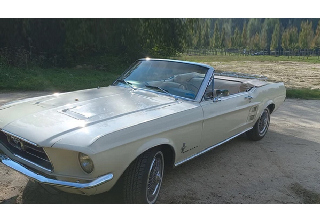 Location Ford Mustang 1967 Blanc