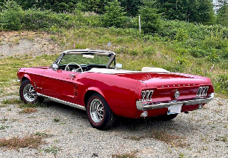 Location Ford MUSTANG 1967 ROUGE