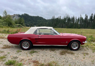 Location Ford MUSTANG 1967 ROUGE