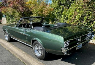 Location Ford Mustang 1967 Vert foncé (Bullit)