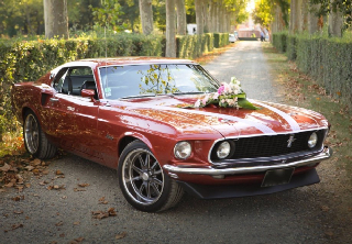 Ford Mustang 1969 