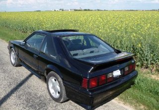Location FORD MUSTANG 1993 GT 5,0 L Noire