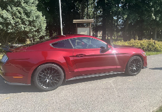 Location Ford Mustang 2015 Ruby