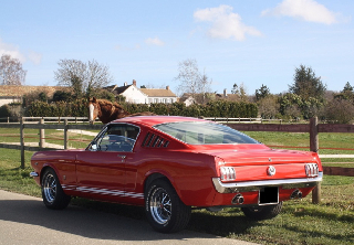 Location Ford mustang fastback GT 1965 Rouge