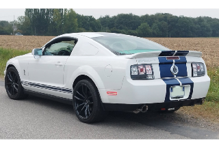 Location Ford Mustang Shelby gt 500 2008 blanc