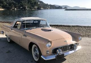 Ford ThunderBird 1956 Rose