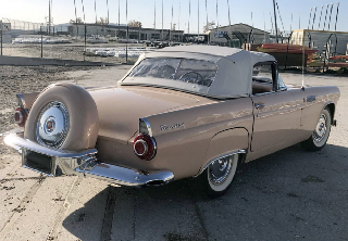 Ford ThunderBird 1956 Rose