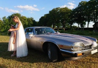 Jaguar XJS 1986 CHAMPAGNE