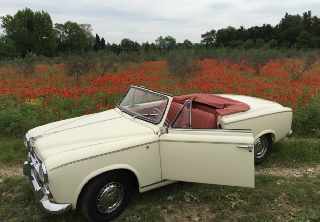 Peugeot 403 Cabriolet 1958 Crème