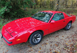 Pontiac FIREBIRD 1987 ROUGE