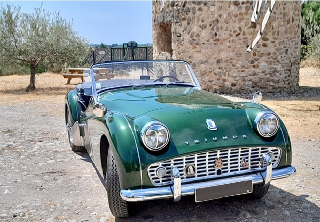 Triumph TR3 1960 Vert