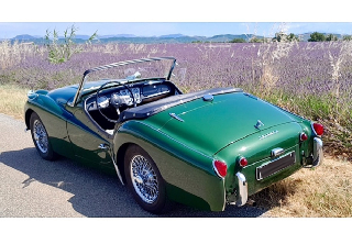 Triumph TR3 1960 Vert