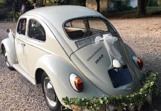 Volkswagen Coccinelle  1963 Écrue 