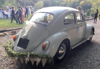 Volkswagen Coccinelle  1963 Écrue 