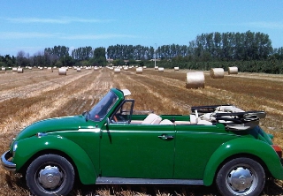 Volkswagen COCCINELLE 1973 vert zambeze