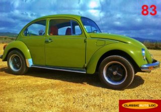 Volkswagen Coccinelle 1976 Vert